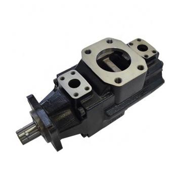 DENISON T6C-038-1R00-A1 vane pump