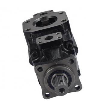 DENISON T6C-038-1R00-A1 vane pump